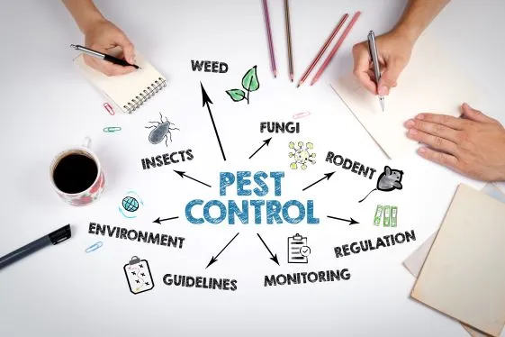 Eco-safe pest control keeping pets and family safe.