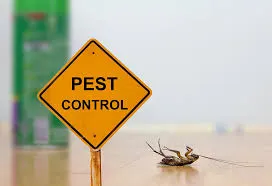our family and pet safe ant treatment in Sharjah