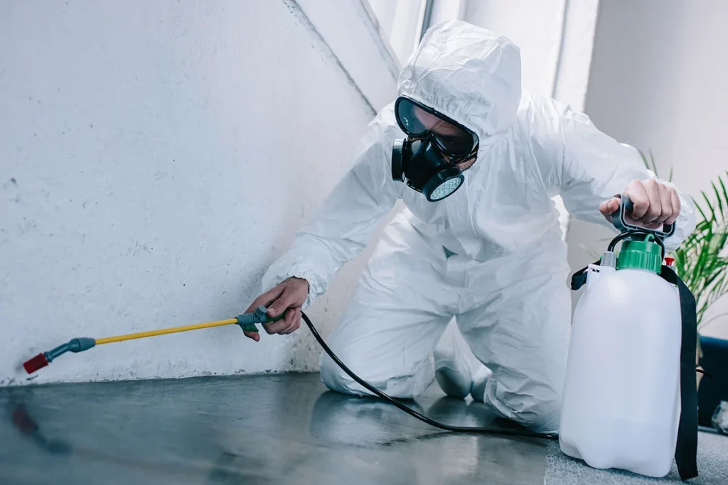 Get simple and dependable pest service in Sharjah.