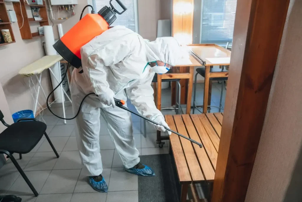 clean pest control solutions offered in Sharjah